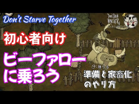 ファロについて詳しく解説