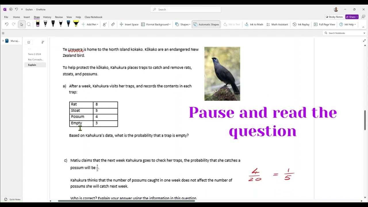 Numeracy Skill Explain video 1