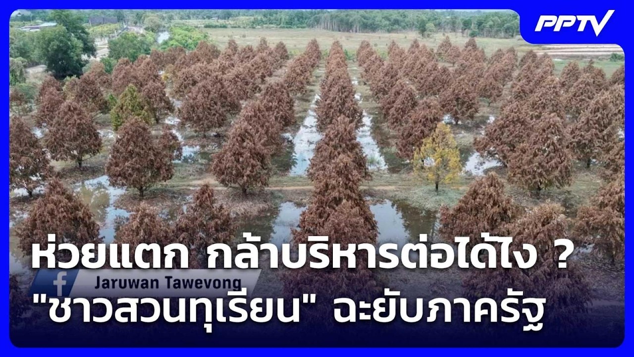 ห่วยแตก กล้าบริหารต่อได้ไง ? "ชาวสวนทุเรียน" ฉะยับภ?
