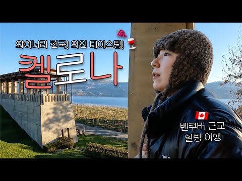 [🇨🇦] 나홀로 빈속에 와인 때려붓고 기분 좋아진 켈로나 여행 (+ 미션힐, 퀼즈게이트 와이너리, 와인테이스팅)