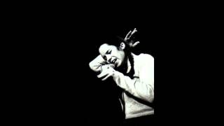 Natalie Merchant: These Are Days, 1995.10.24