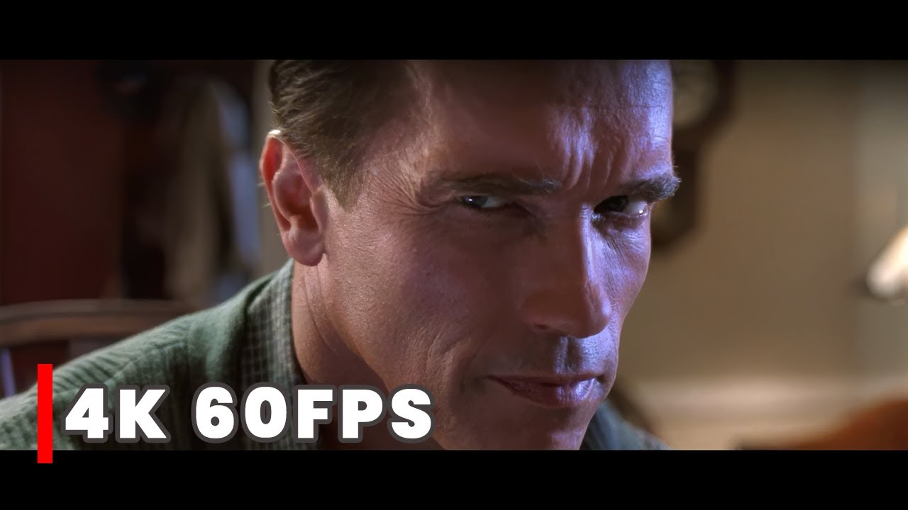Arnold Schwarzenegger Stare (Terminator Intense Stare) | Meme Template | [4k 60fps]
