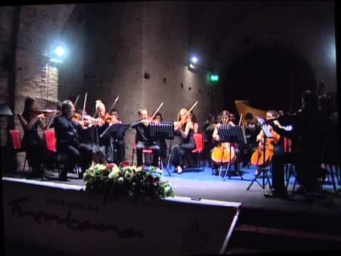 Concerto dell'Ensemble d'Archi Internazionale Giovanile F. Fenaroli . EMF Lanciano 2014