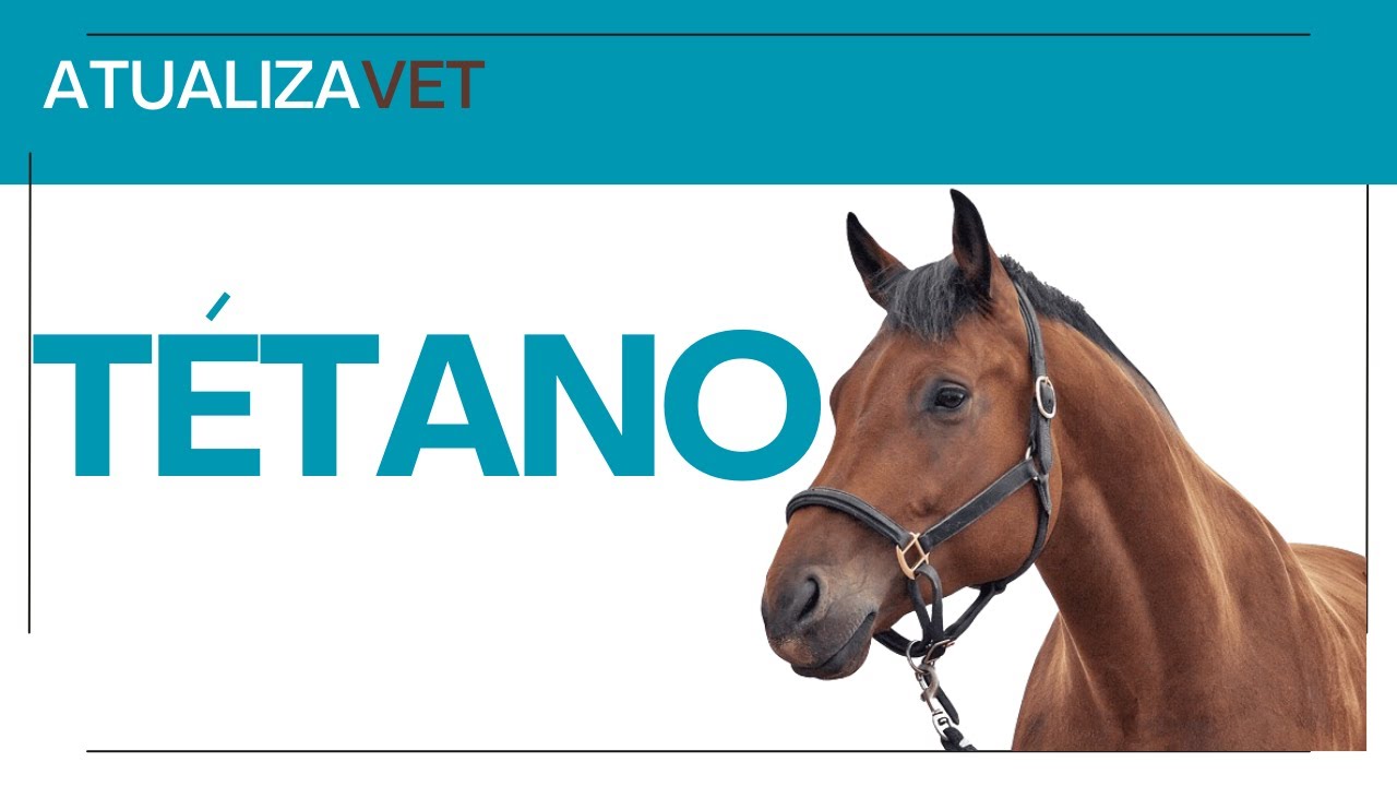 Tétano em equinos - AtualizaVet