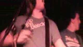 Words - Between The Trees Live @The Conservatory