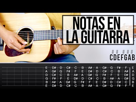 Notas en La Guitarra - Aprende Guitarra #11