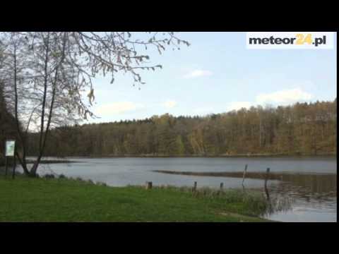 Agroturystyka Pod Lasem - Nowe Biskupice meteor24.pl