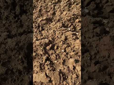 Somme WW1 fieldwalking with me. Fired cartridges 7.92mm