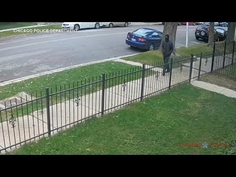 Rogers Park killer still at large 1 year after murders