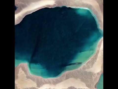 Fenirir (Nite Mrkt) - Synthwave/House/Electronic