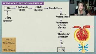 Regulação da TFG: Feedback Tubuloglomerular