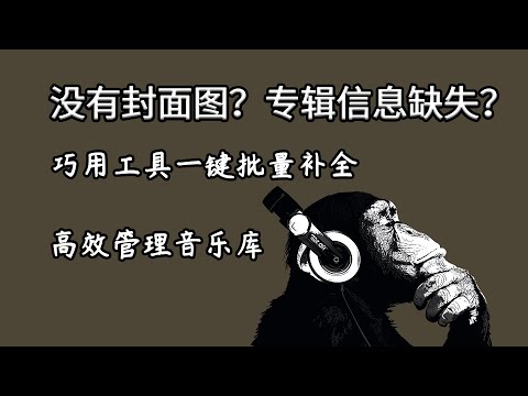 为什么音频文件没有专辑图片？一键补全音乐标签元数据 批量重命名 ID3信息批量补全 高效管理