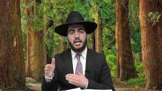 כללי דיני כרמלית בדיני פטור | הרב יצחק מאזוז | סימן שמה יח- יט (מוסדות כיסא רחמים) - התמונה מוצגת ישירות מתוך אתר האינטרנט יוטיוב. זכויות היוצרים בתמונה שייכות ליוצרה. קישור קרדיט למקור התוכן נמצא בתוך דף הסרטון כללי דיני כרמלית בדיני פטור | הרב יצחק מאזוז | סימן שמה יח- יט (מוסדות כיסא רחמים) - התמונה מוצגת ישירות מתוך אתר האינטרנט יוטיוב. זכויות היוצרים בתמונה שייכות ליוצרה. קישור קרדיט למקור התוכן נמצא בתוך דף הסרטון