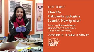 HOT (Human Origins Today) Topic: How Do Paleoanthropologists Identify New Species?