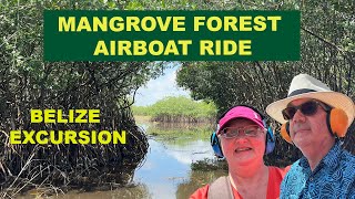 Exploring Belize’s Hidden Mangrove Forests | Viking Ocean Cruises Shore Excursion
