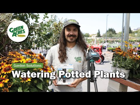 How to Water Potted Plants with Drip Irrigation