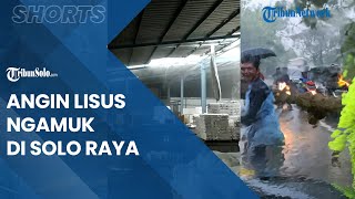 Berita Solo Hari Ini: Angin Lisus Ngamuk di Solo Raya: Tempat Porak-poranda hingga Pohon Tumbang