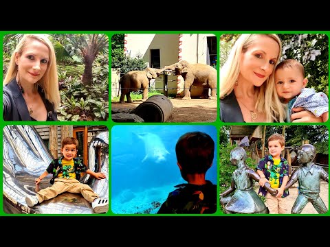 La Gradina Zoologica din Antwerpen/ Anvers, Belgia ❤ Ce animale am vazut