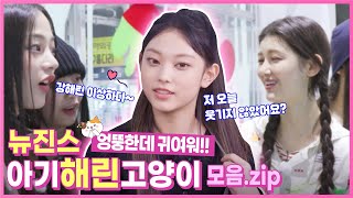 [Behind EP.10] 뉴진스(NewJeans) 웃음포텐 터지는 확신의 아기고양이 해린! 크리스마스 선물 강해린 야옹이 모먼트ㅣ#뉴진스코드in부산 #뉴진스컴백축하해의 이미지