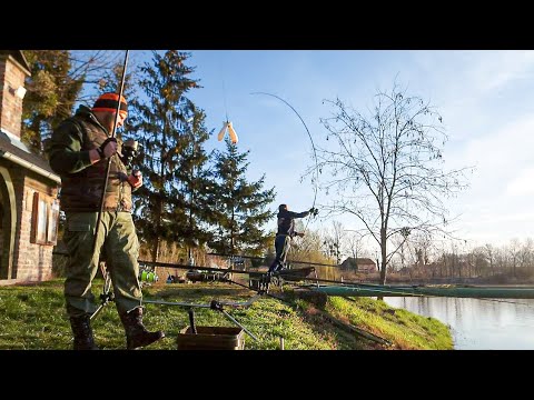 Carpfishing Drnić- U dobrom društvu