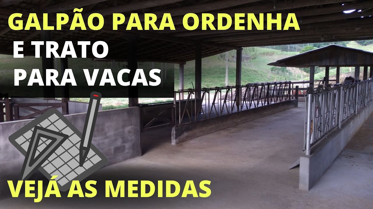 Galpão de ordenha e de trato para as vacas ,medidas para 30 vacas.
