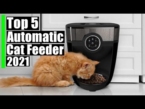 Best Automatic Cat Feeder | Top 5 Automatic Feeders 2021
