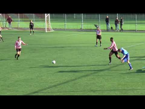 HOLLANDIA.O17-2  -  WV-HEDW.O17-1