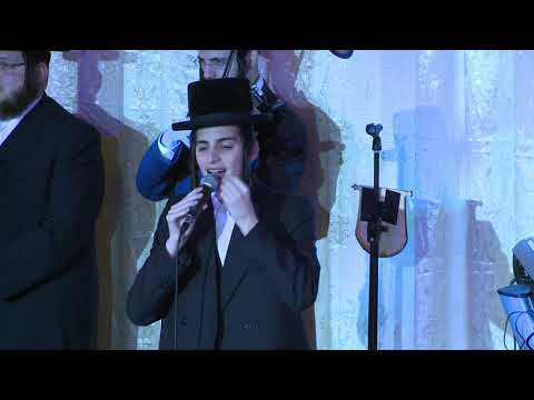 ריבון העולמים - הביצוע המרגש של מוטי שטיינמץ