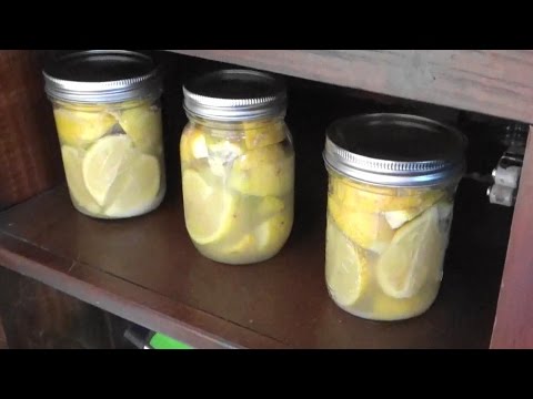 download lagu mp3 mp4 Canning Preserved Lemons, download lagu Canning Preserved Lemons gratis, unduh video klip Canning Preserved Lemons