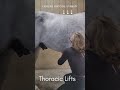 Asmr Chiropractic Horse Massage Video