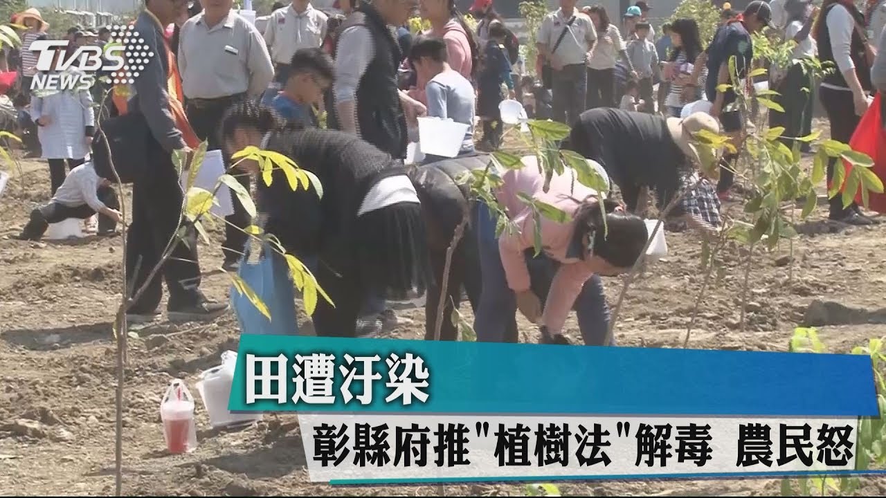 田遭汙染彰縣府推「植樹法」解毒 農民怒