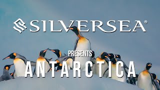 Antarctica Adventure with Silversea Cruises | Luxury Expedition to the White Continent