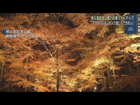 YouTube Video 静岡・御殿場市の秩父宮記念公園ではモミジやカエデなどの紅葉が見頃　12月1日まではライトアップ