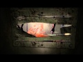 Outlast: Whistleblower [Eddie Gluskin] GMV 