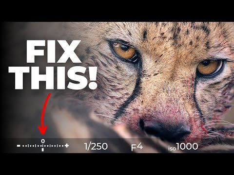 99% Of Beginners Get Exposure Wrong, Here’s Why!