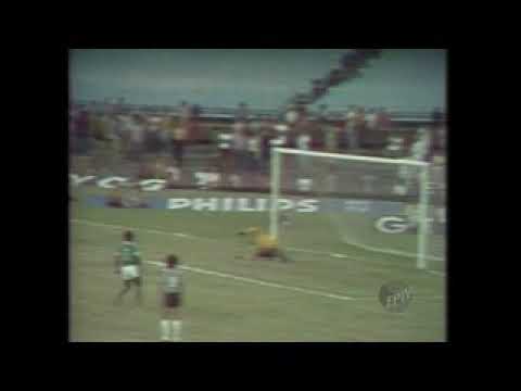 Botafogo 1 x 1 Guarani Campeonato Brasileiro de 1978