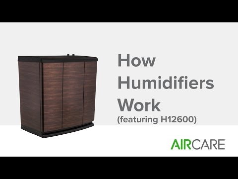 How Humidifiers Work (featuring H12600)