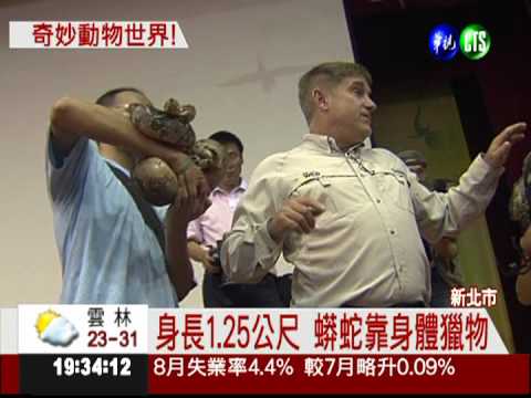 巨蜥.巨蟒現身校園 宣導保育重要!