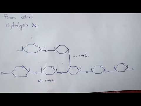 CHAPTER CARBOHYDRATES part 1 BIOCHEMISTRY BY PHANINDRA GUPTA