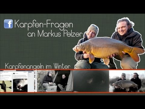 Karpfenangeln im Winter: Die besten Tipps von Markus Pelzer