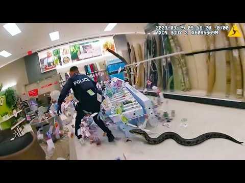 Police vs Wild Animals | Bodycam Captures Everything