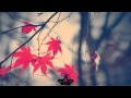 Dead Battery - Forget Me (Koda Remix) 