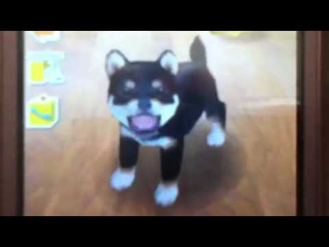 Nintendogs part 1