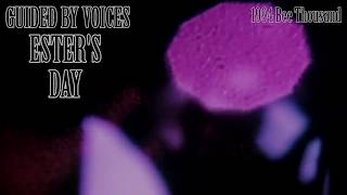 Guided By Voices - Ester&#39;s Day [PCB Wondemuddle video]