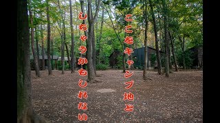 【初心者キャンプ】スタートから躓いた男のタープ設営編【ゆっくりボイス 】