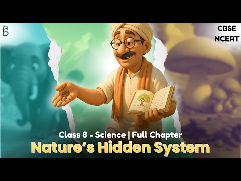 How Nature Works in Harmony – Class 8 Science - Curiosity video