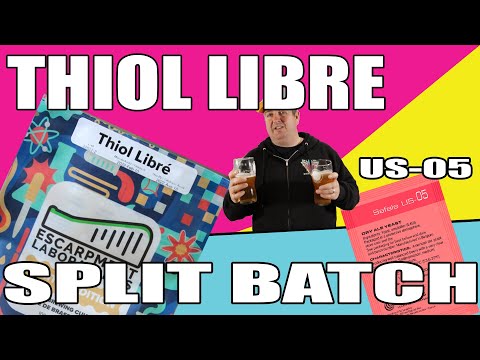 Thiol Libre vs US-05 Split Batch | BIAB Grain to Glass Cascade Pale Ale