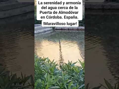 CERCA DE LA PUERTA DE ALMODÓVAR EN CÓRDOBA: LA SERENIDAD DEL AGUA EN LOS ESTANQUES. España.