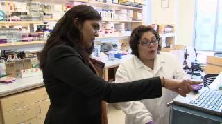 Graduate Studies: A Lifetime of Discovery at UC Merced