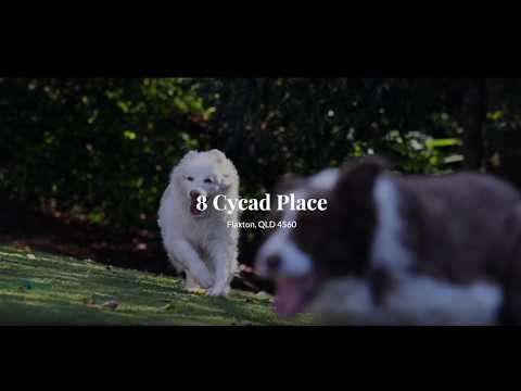 8 Cycad Place, Flaxton, QLD 4560, 5 Kuwarto, 3 Banyo, House